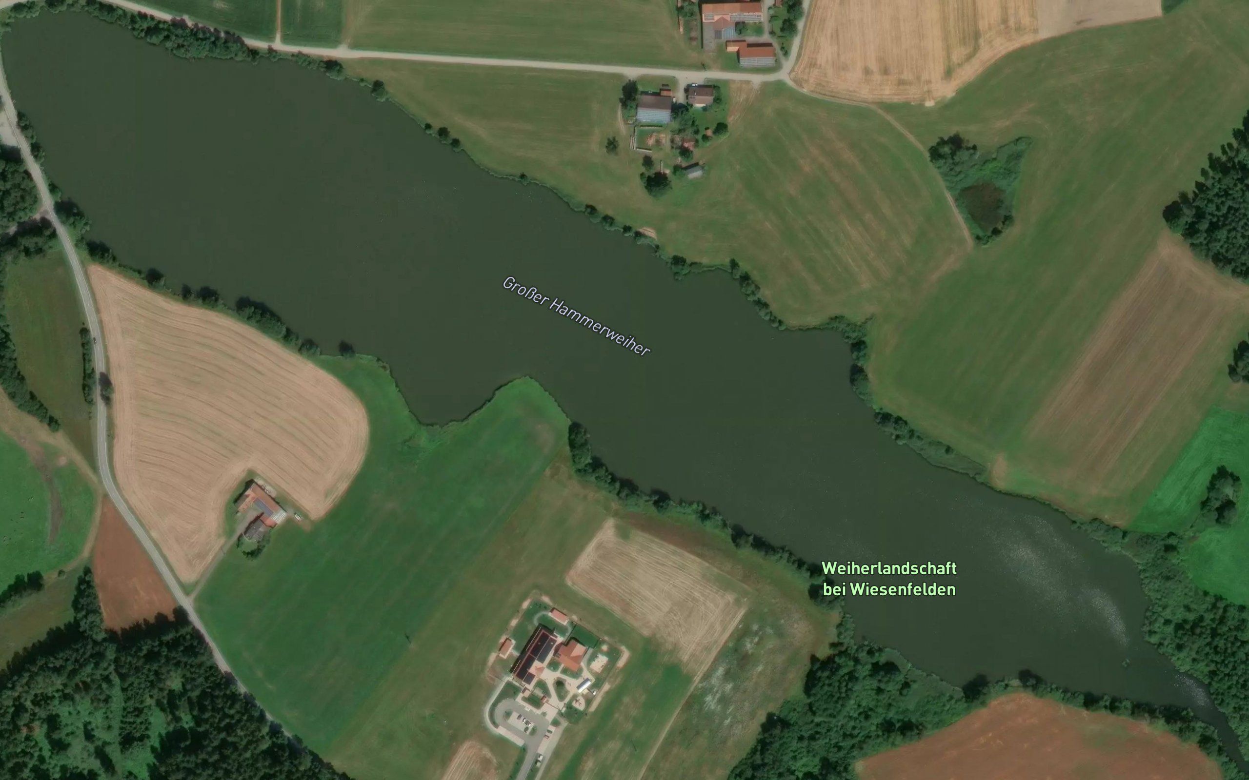 Grosser Hammerweiher