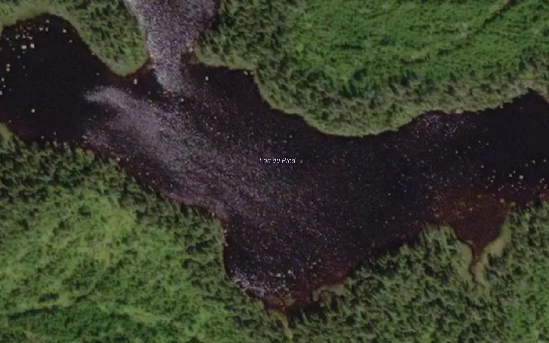 Satellite map of the Lac du Pied