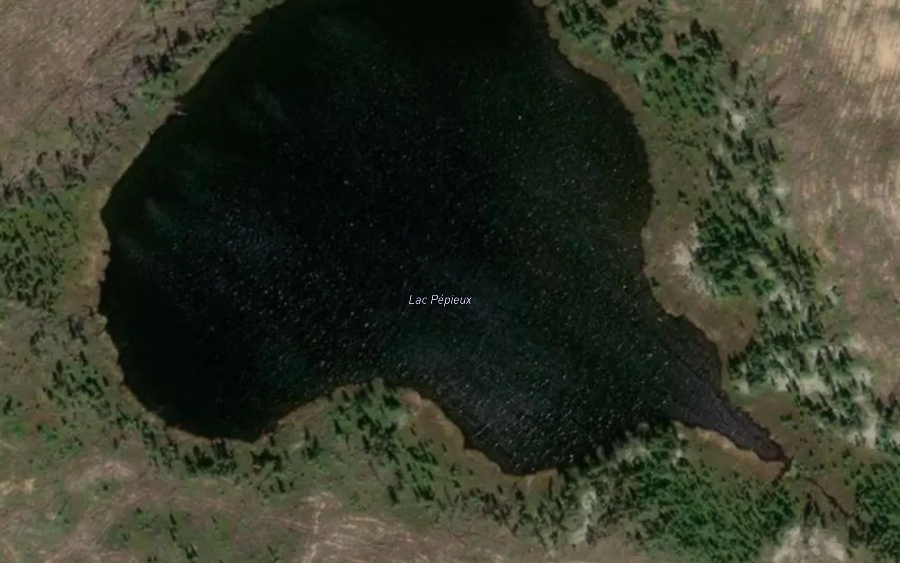 Satellite map of the Lac Pepieux