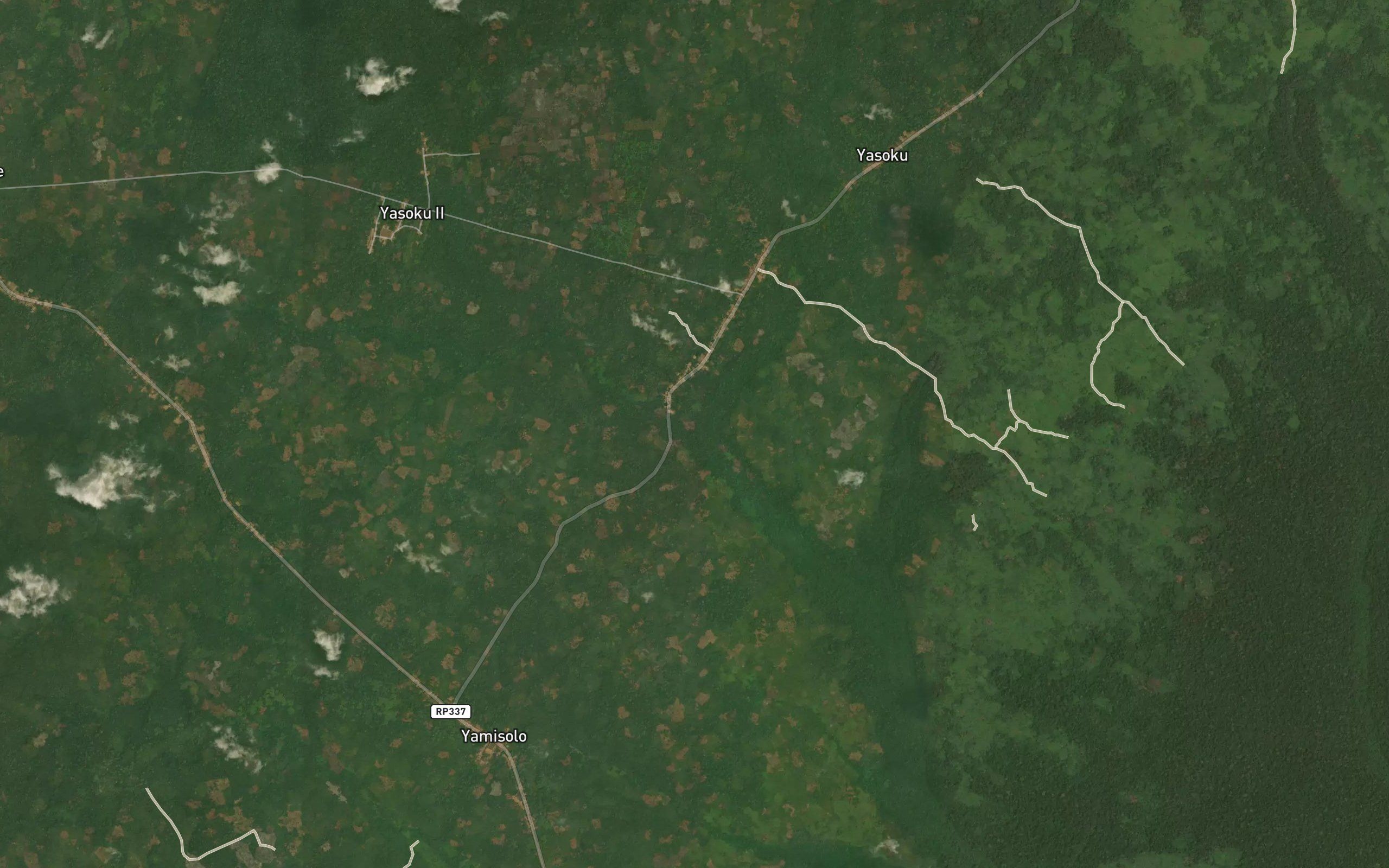 Mokongokongo