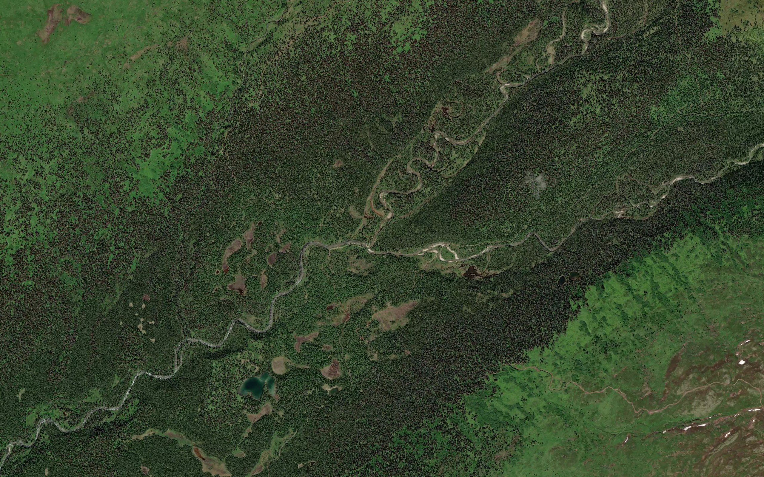 Purches Creek