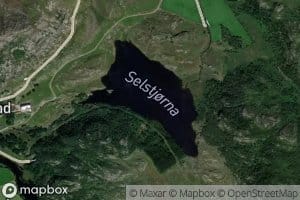 Selstjorna