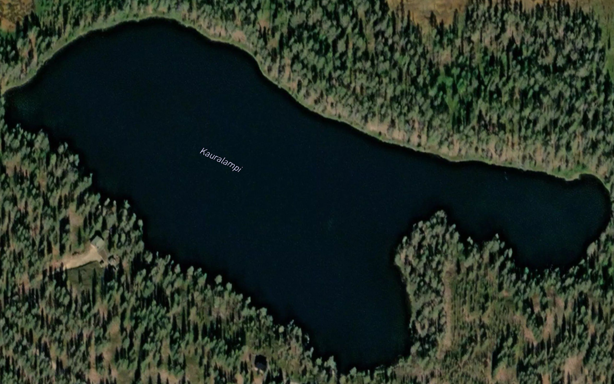 Kauralampi