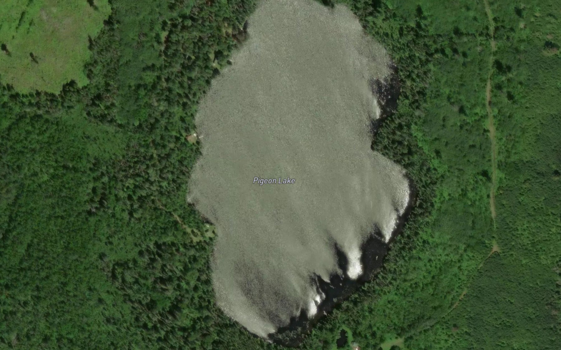 Satellite map of the Pigeon Lake