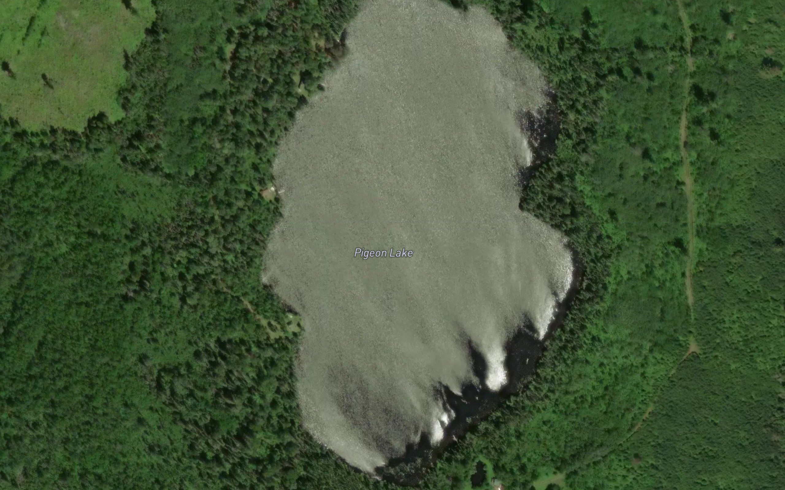 Pigeon Lake