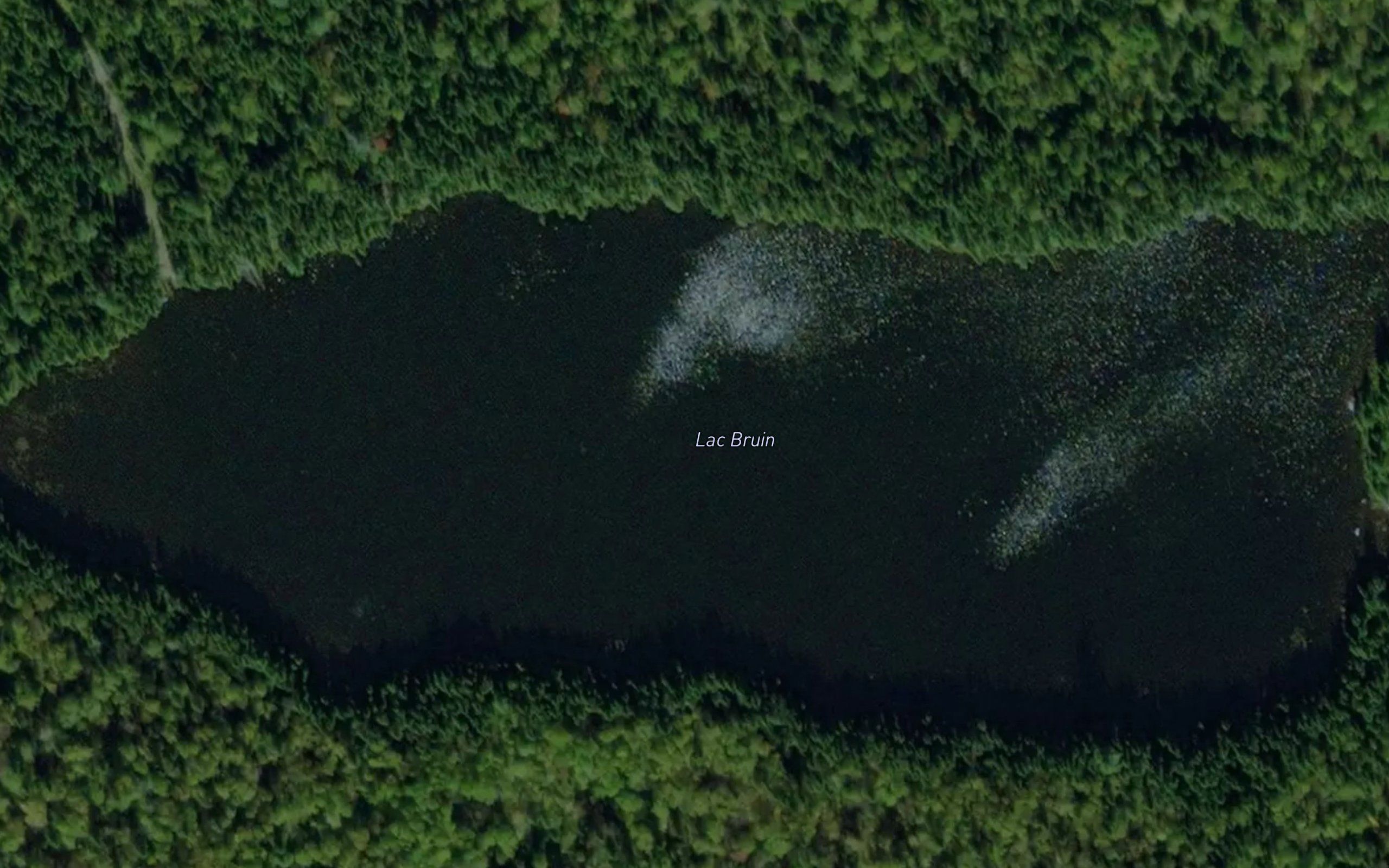 Lac Bruin