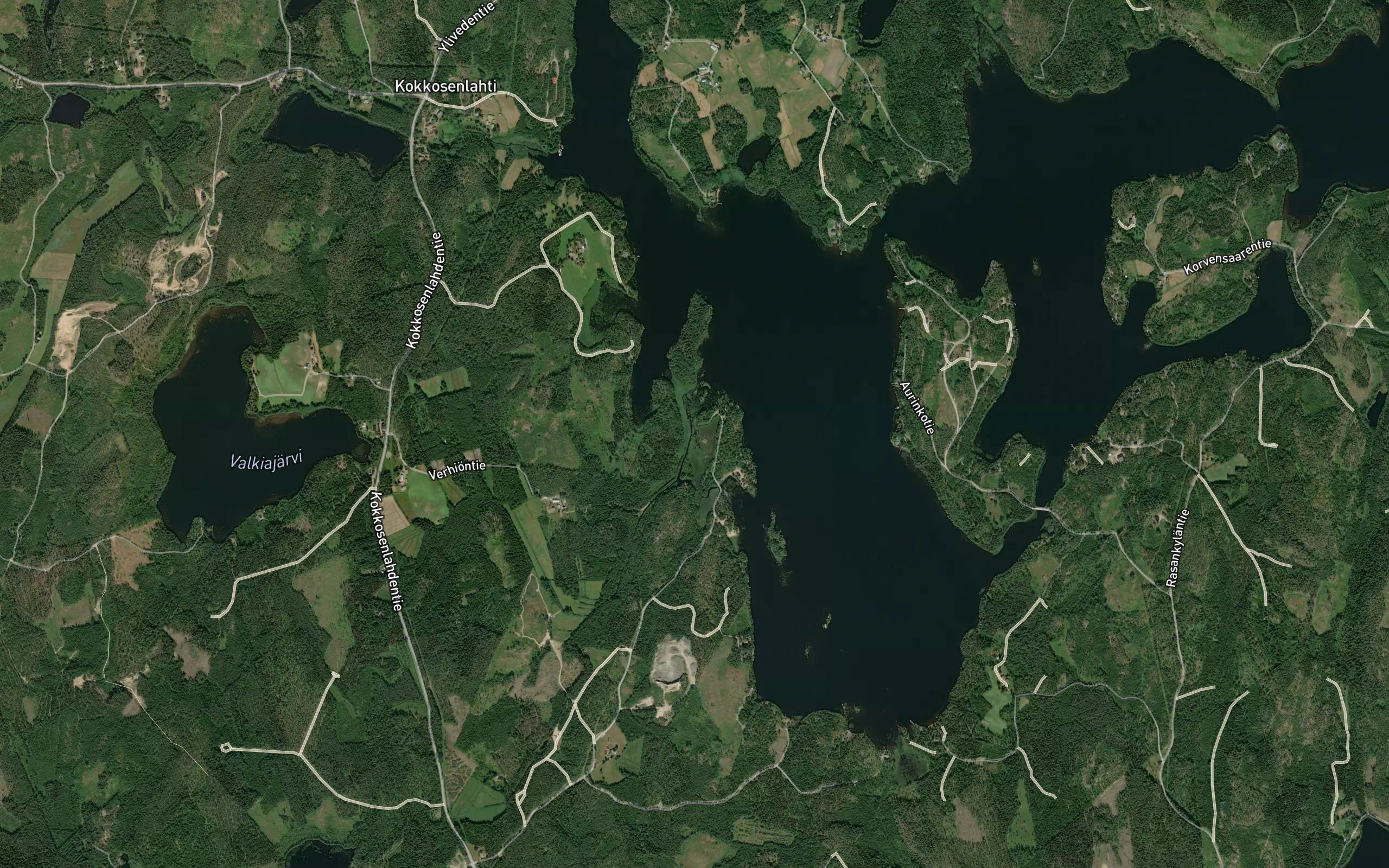 Verhionluhta