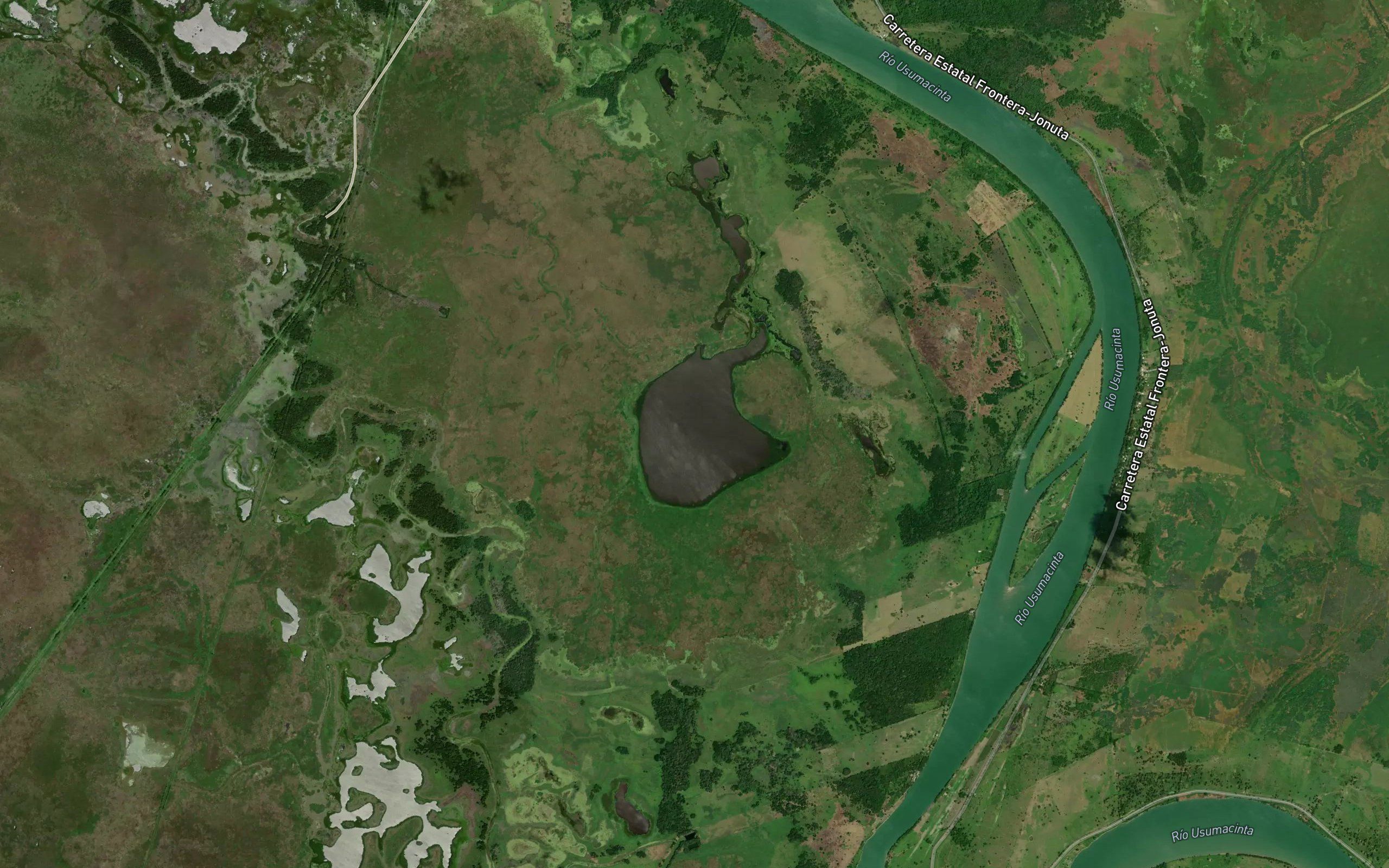 Laguna Carrizal