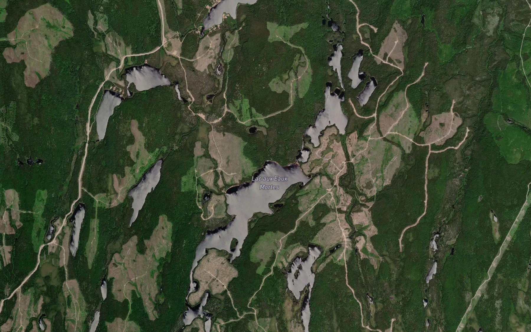Satellite map of the Lac aux Eaux Mortes