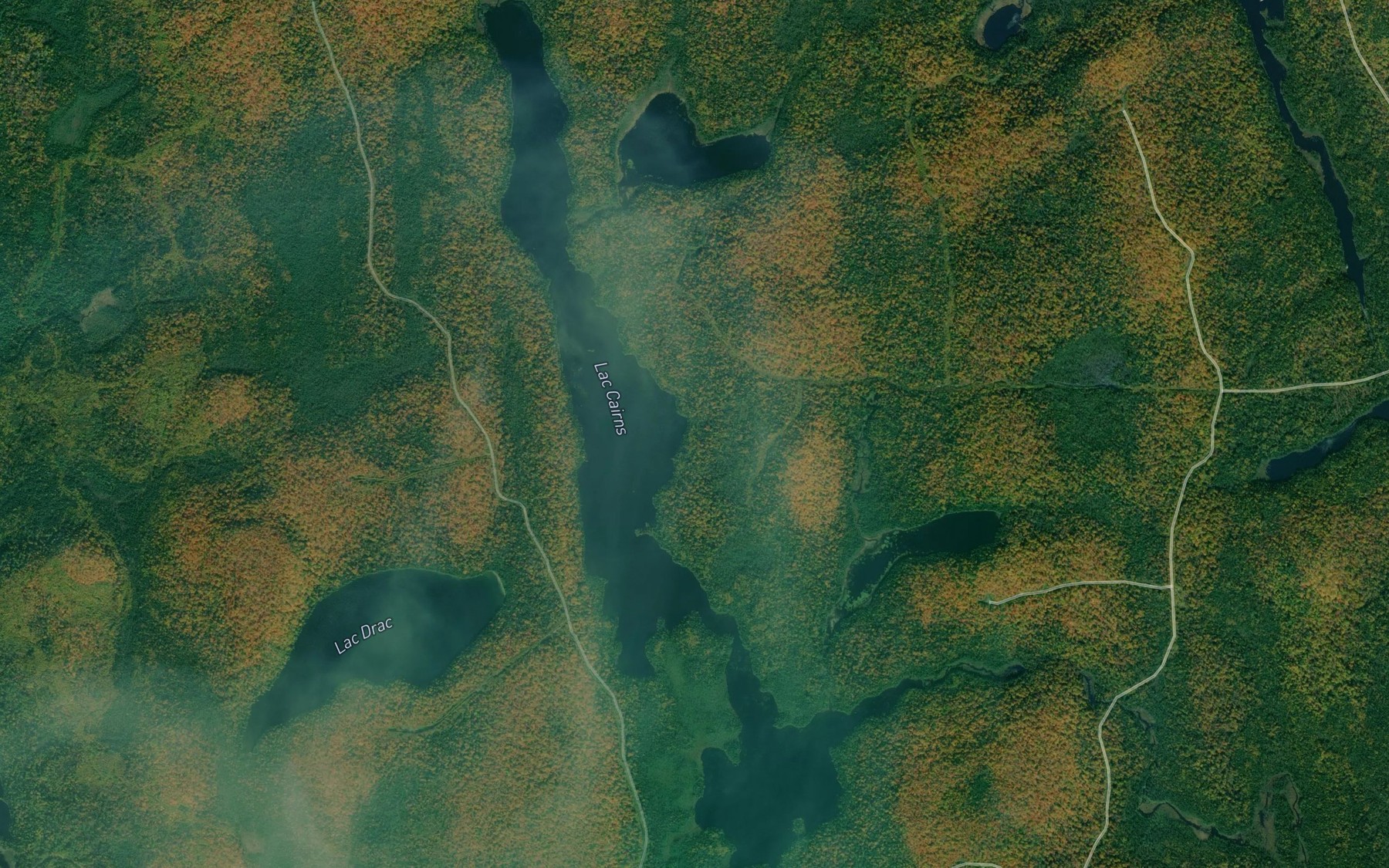 Satellite map of the Lac Cairns