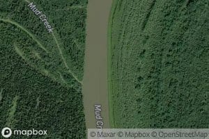 Mud Creek