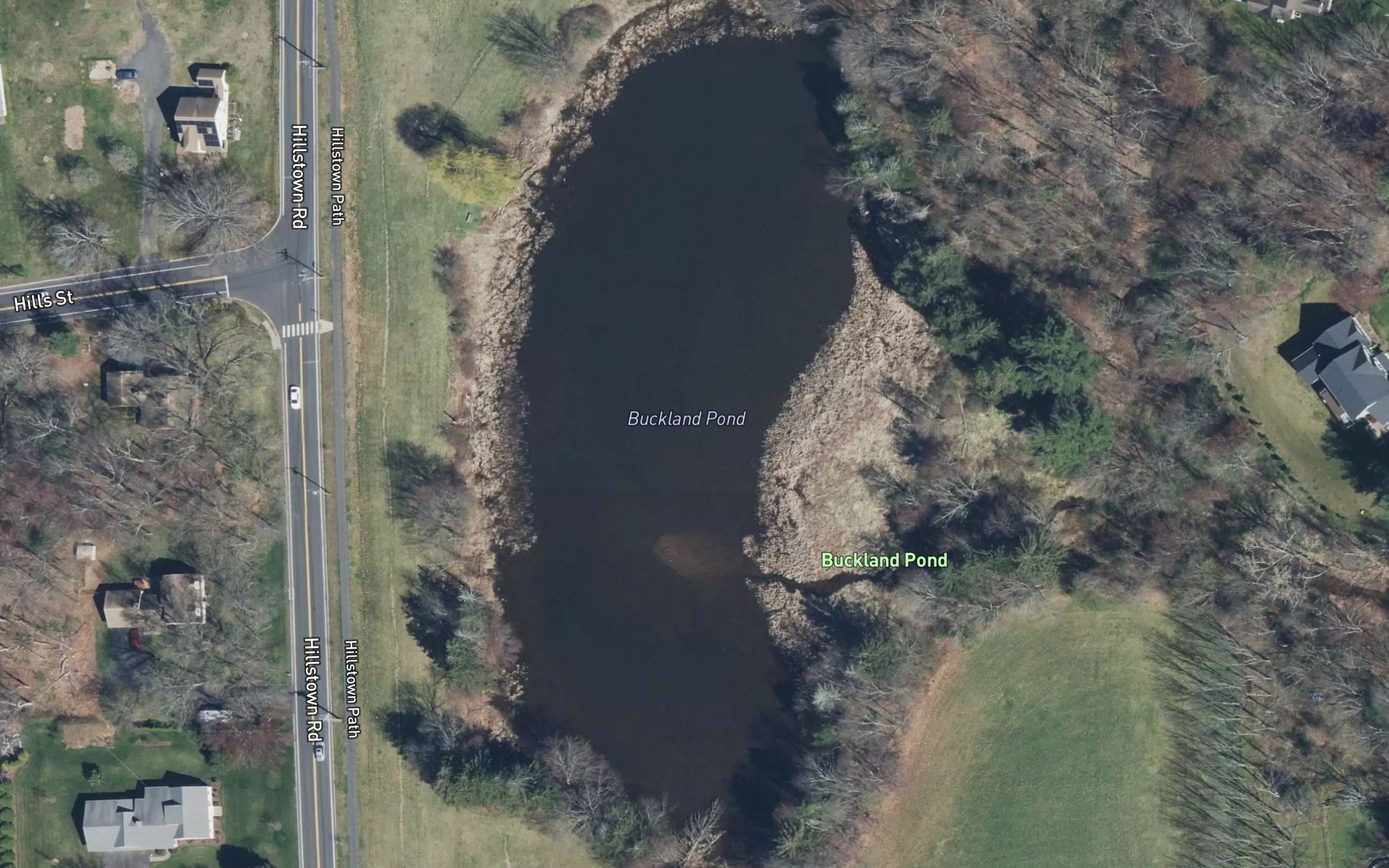 Buckland Pond