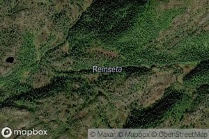 Reinsetta