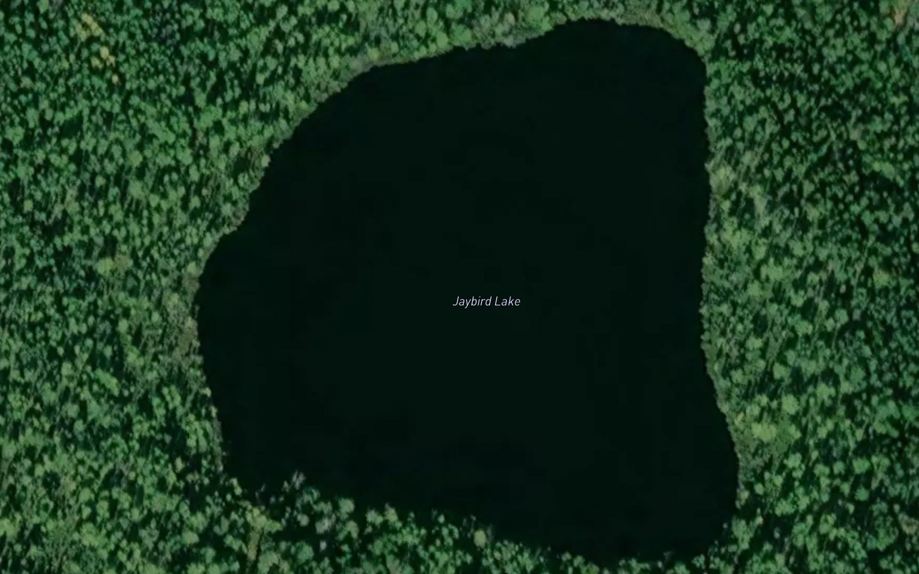 Satellite map of the Jaybird Lake