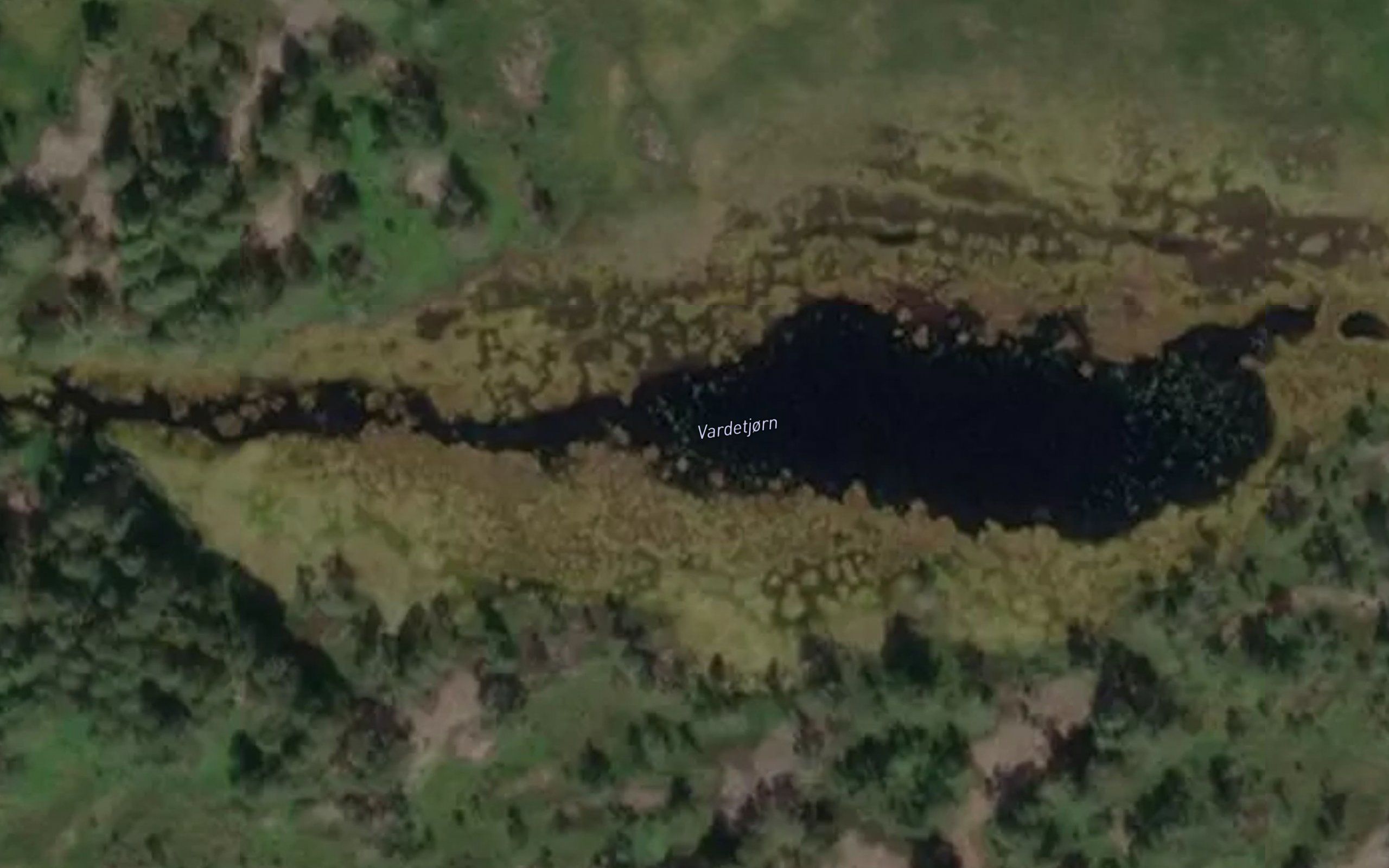 Vardekkane