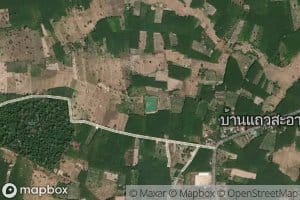 Nong Bua
