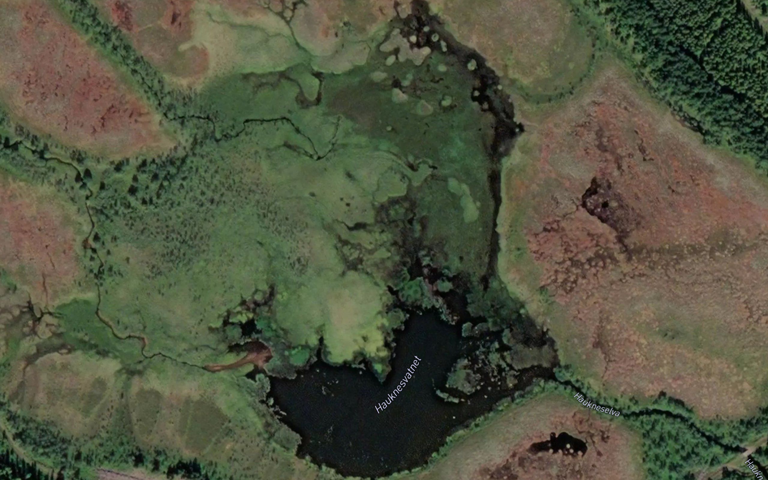 Hauknesvatnet