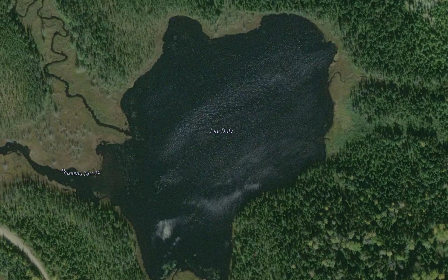 Satellite map of the Lac Dufy