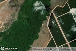 Morichal Agua Clarita