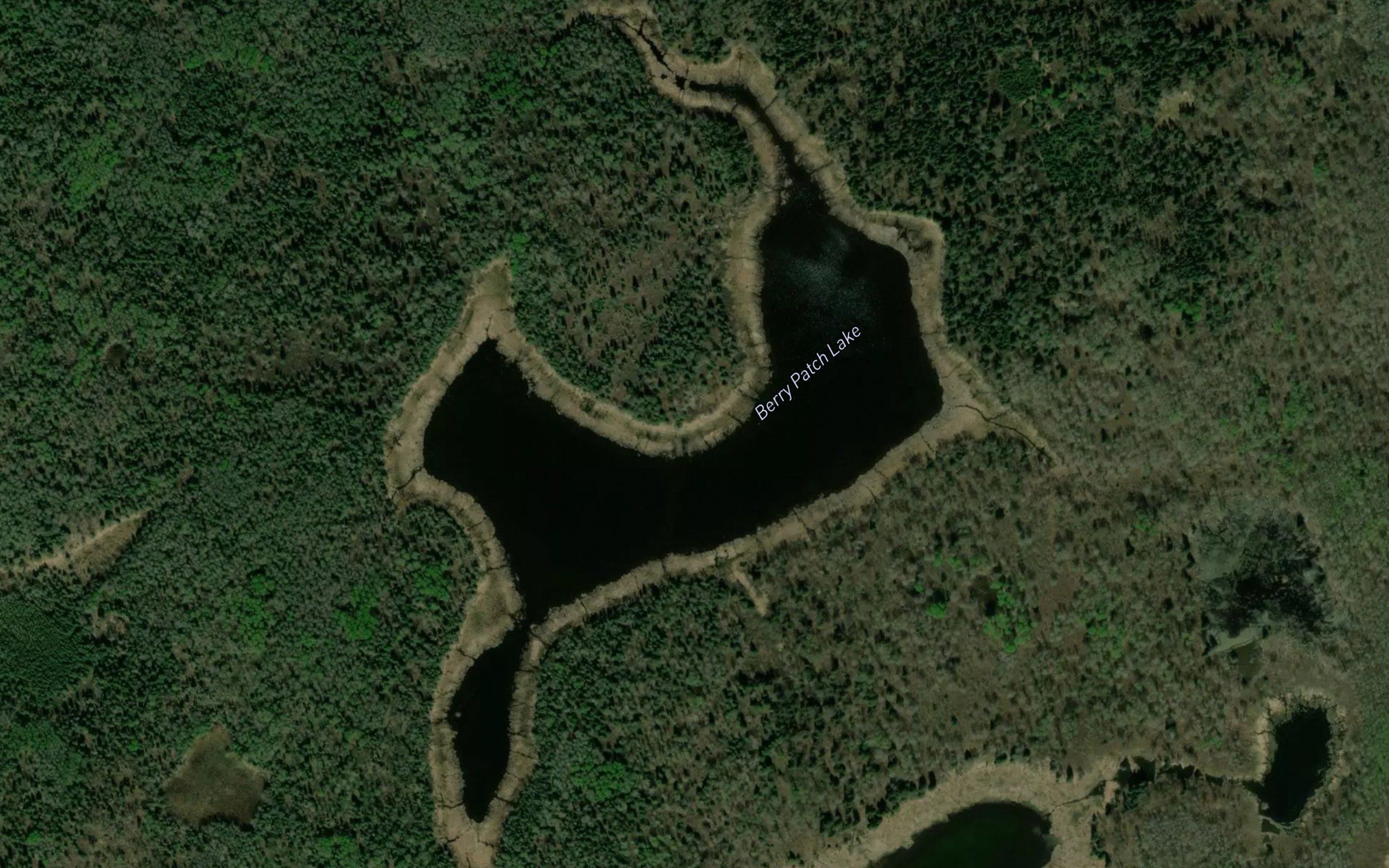 Berry Patch Lake
