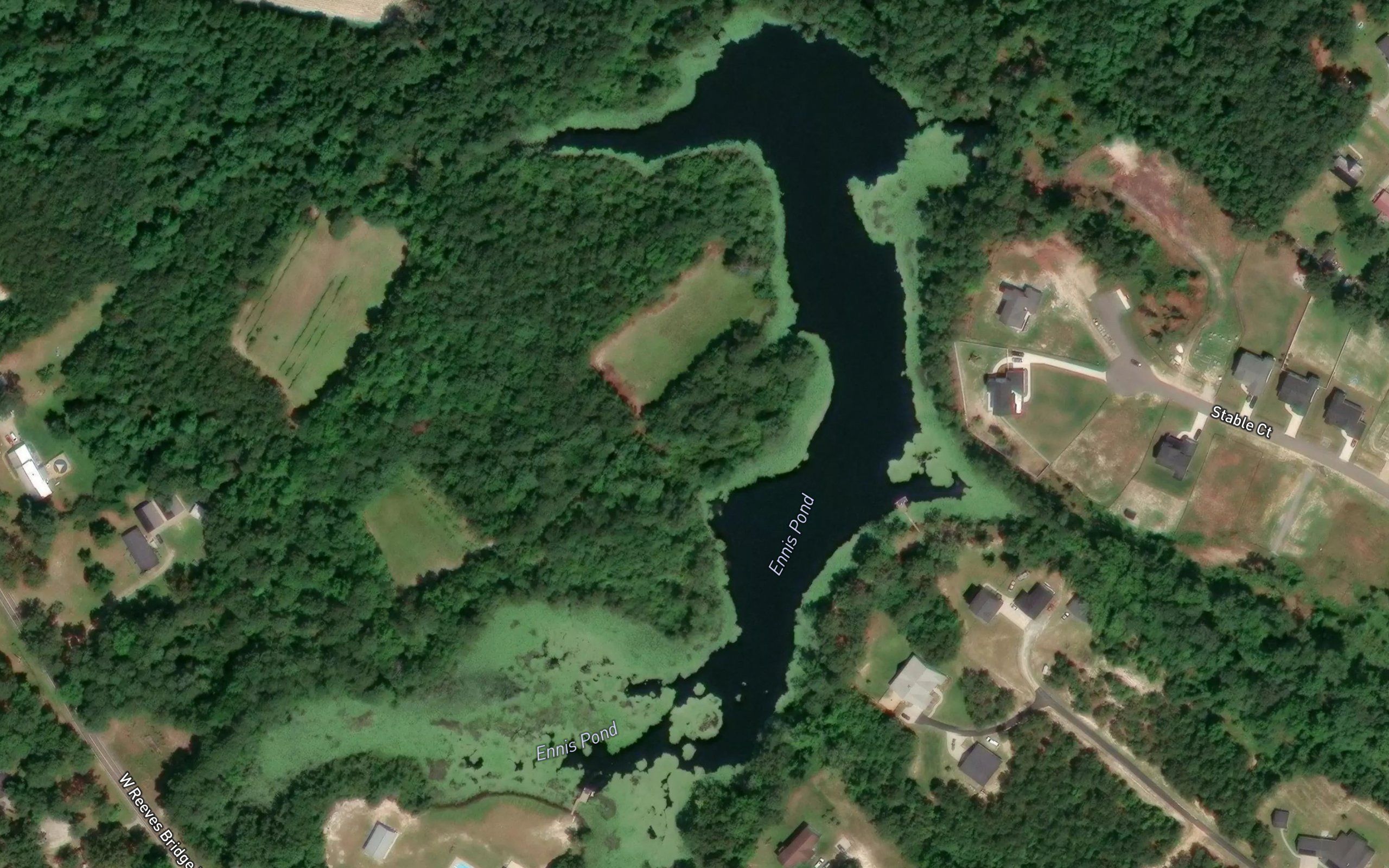 Ennis Pond