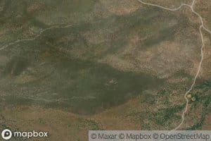 Yellow Jacket Spring