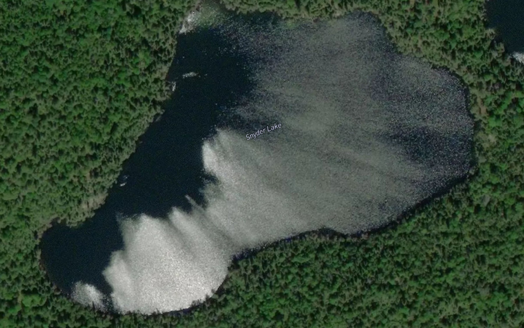 Satellite map of the Snyder Lake