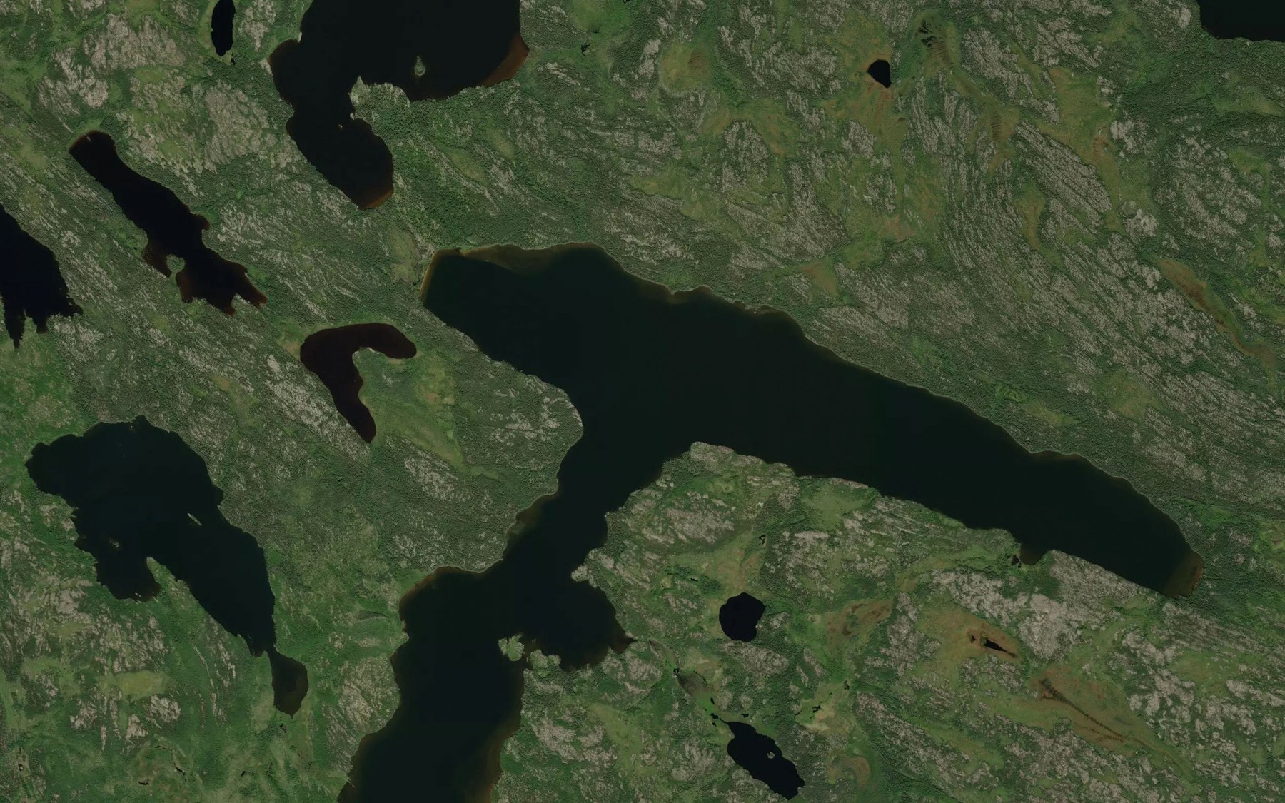 Satellite map of the Reichert Lake