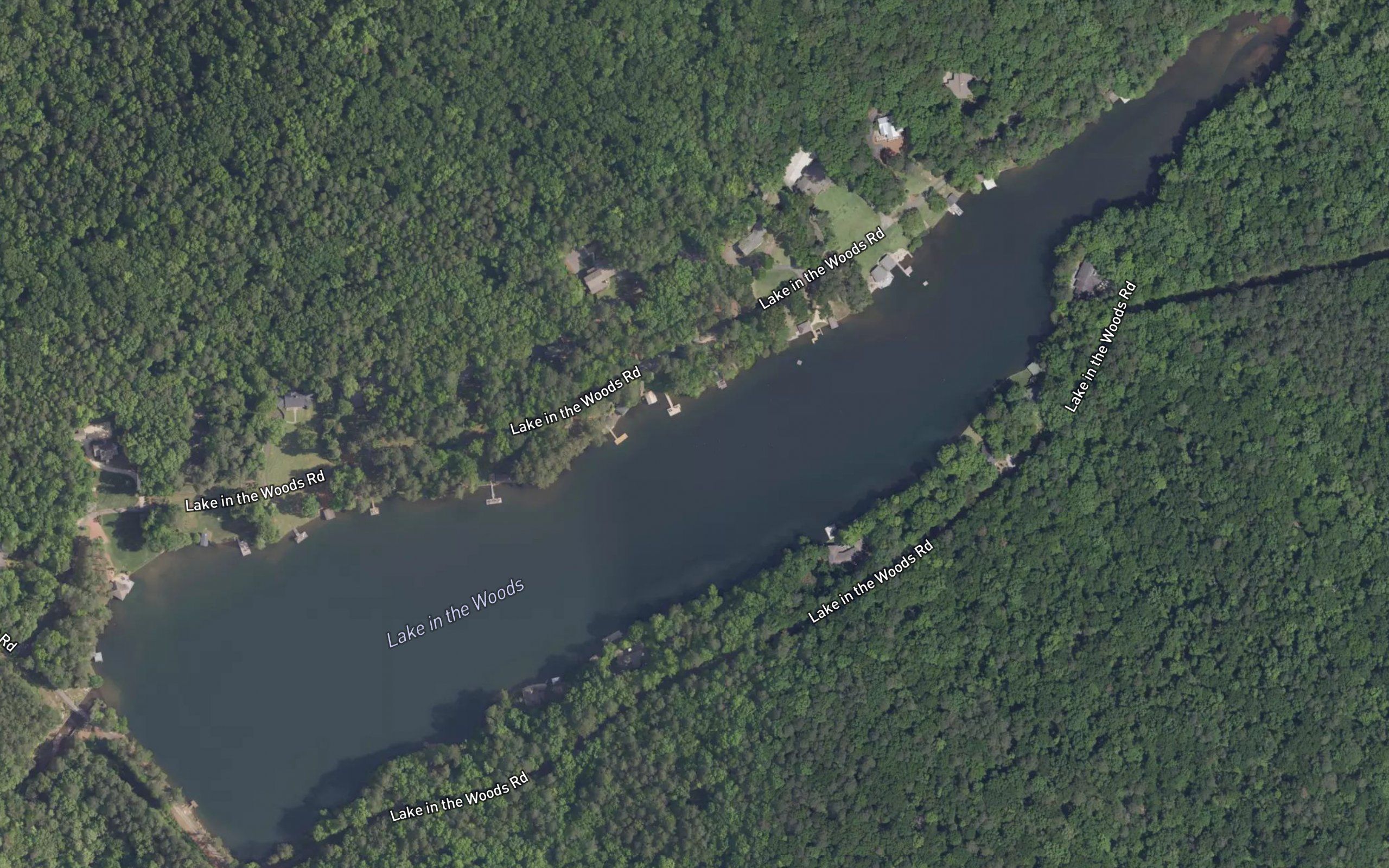 Lake in the Woods
