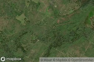Satellite map of the Wickey Branch