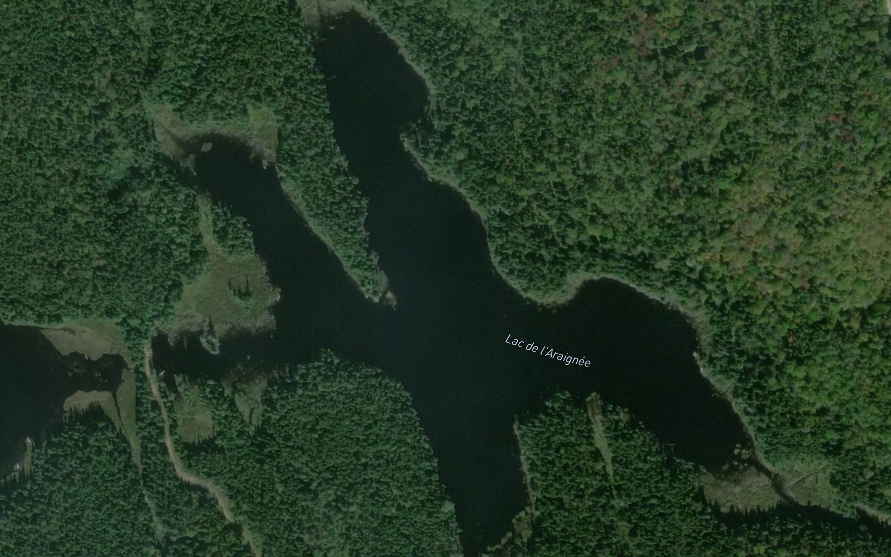 Satellite map of the Lac de l'Araignee