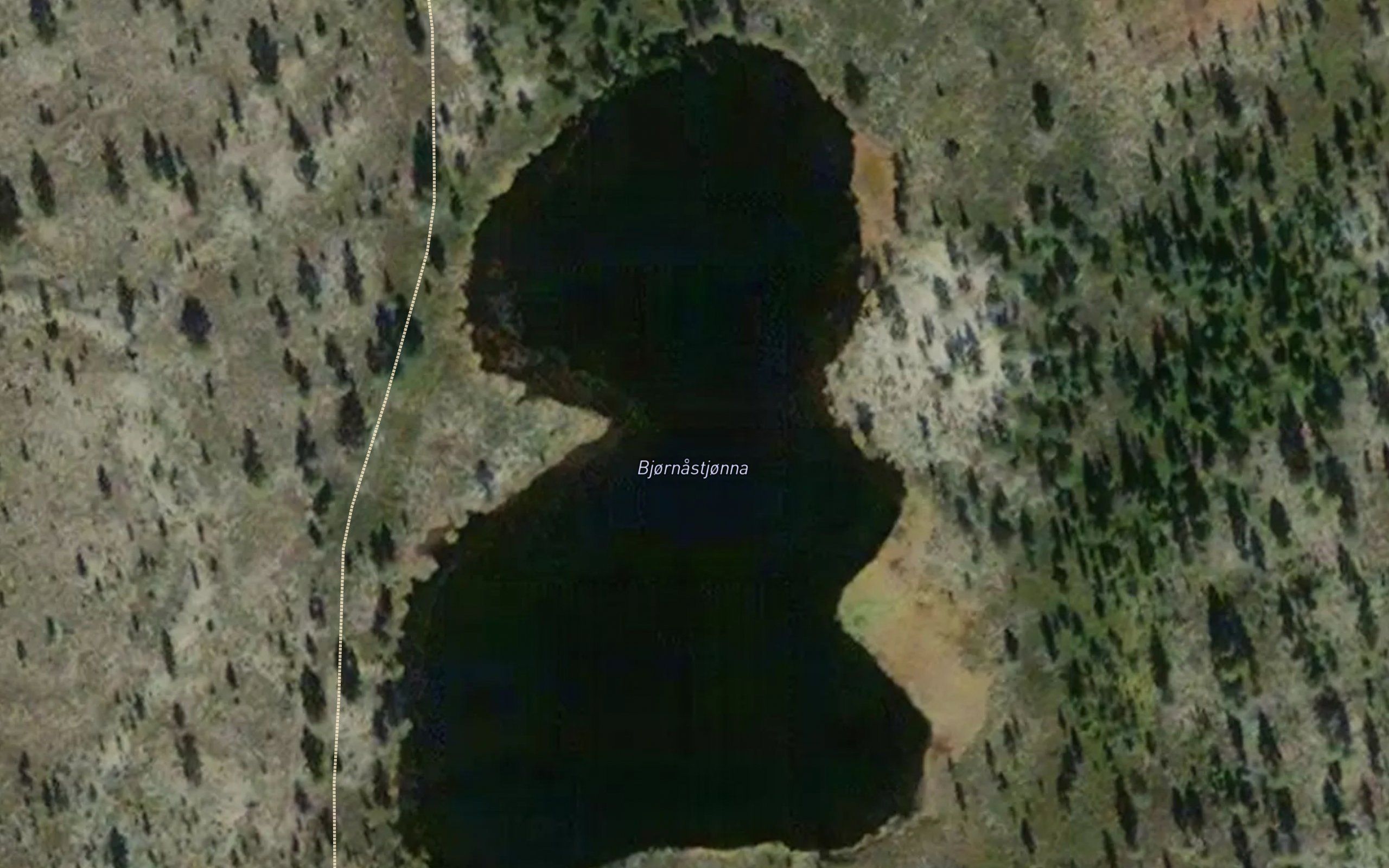 Bjornastjorna