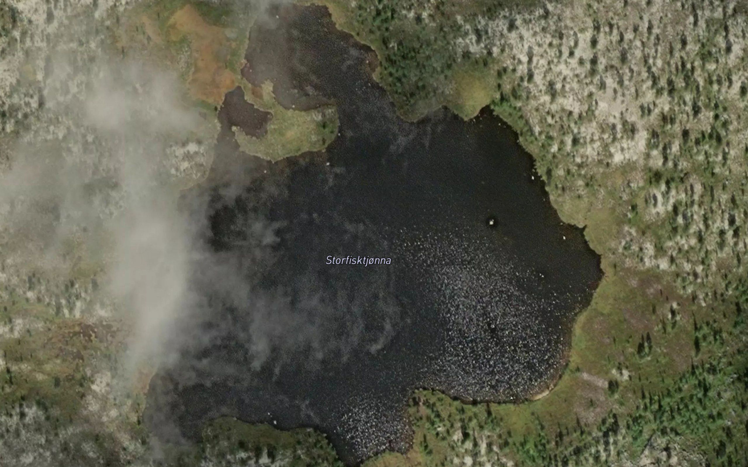 Storfisktjorna