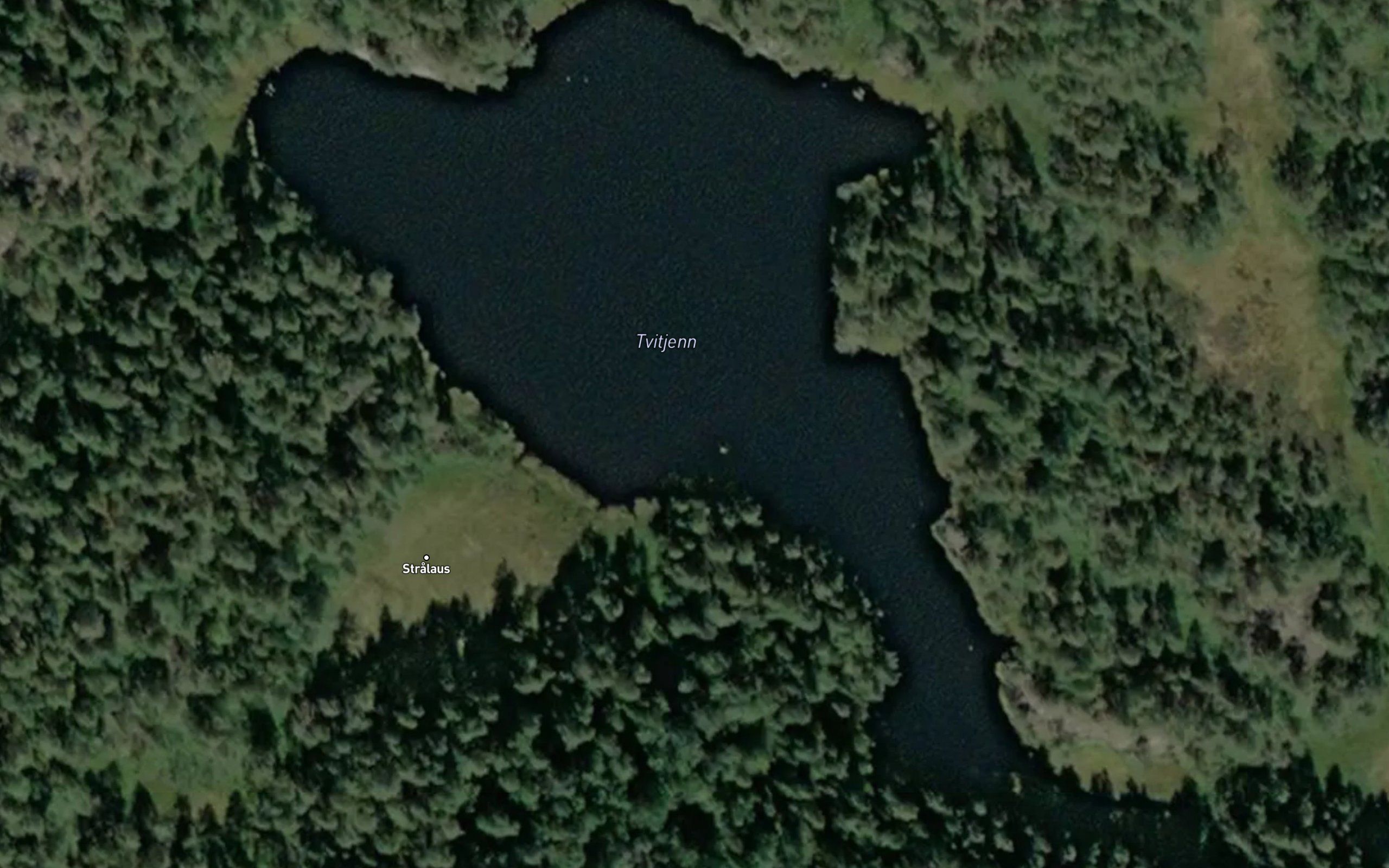 Tvitjern