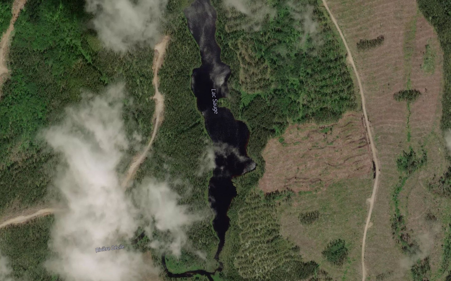 Satellite map of the Lac Sauge