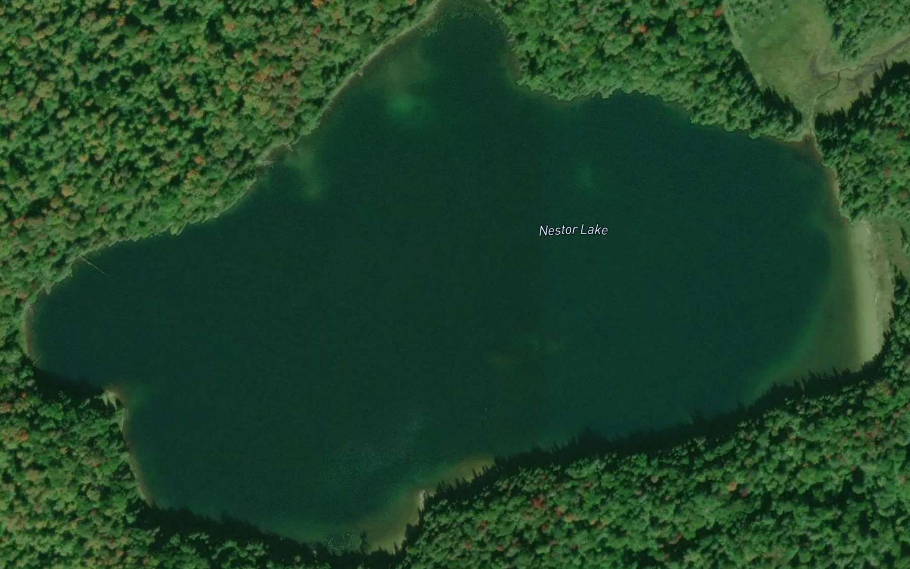 Satellite map of the Nestor Lake