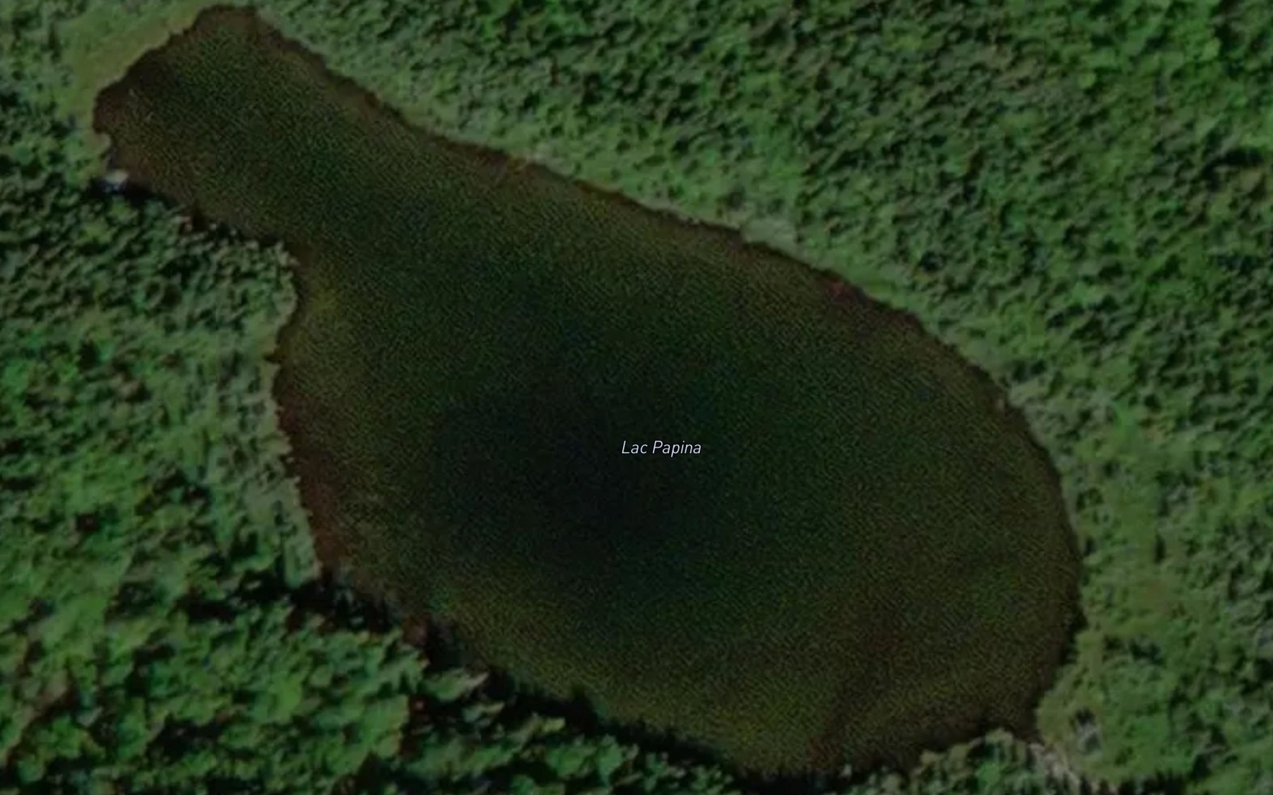 Satellite map of the Lac Papina