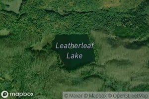 Leatherleaf Lake