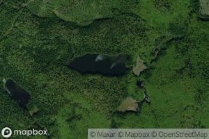 Lac Bruin