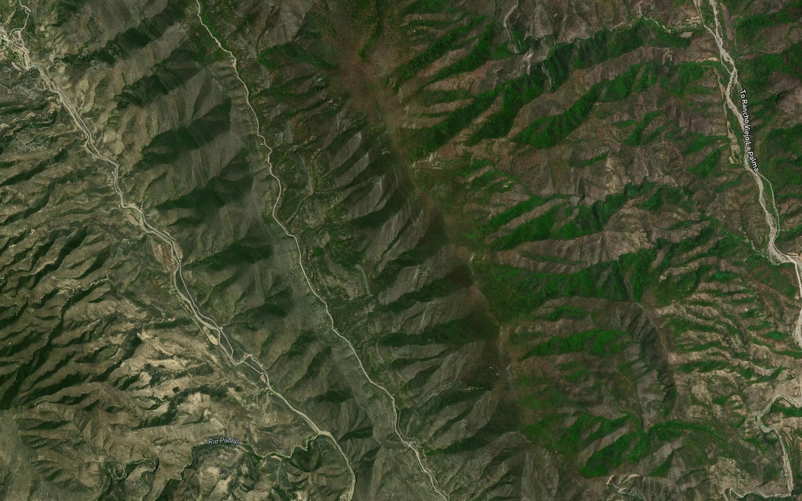 La Anacua