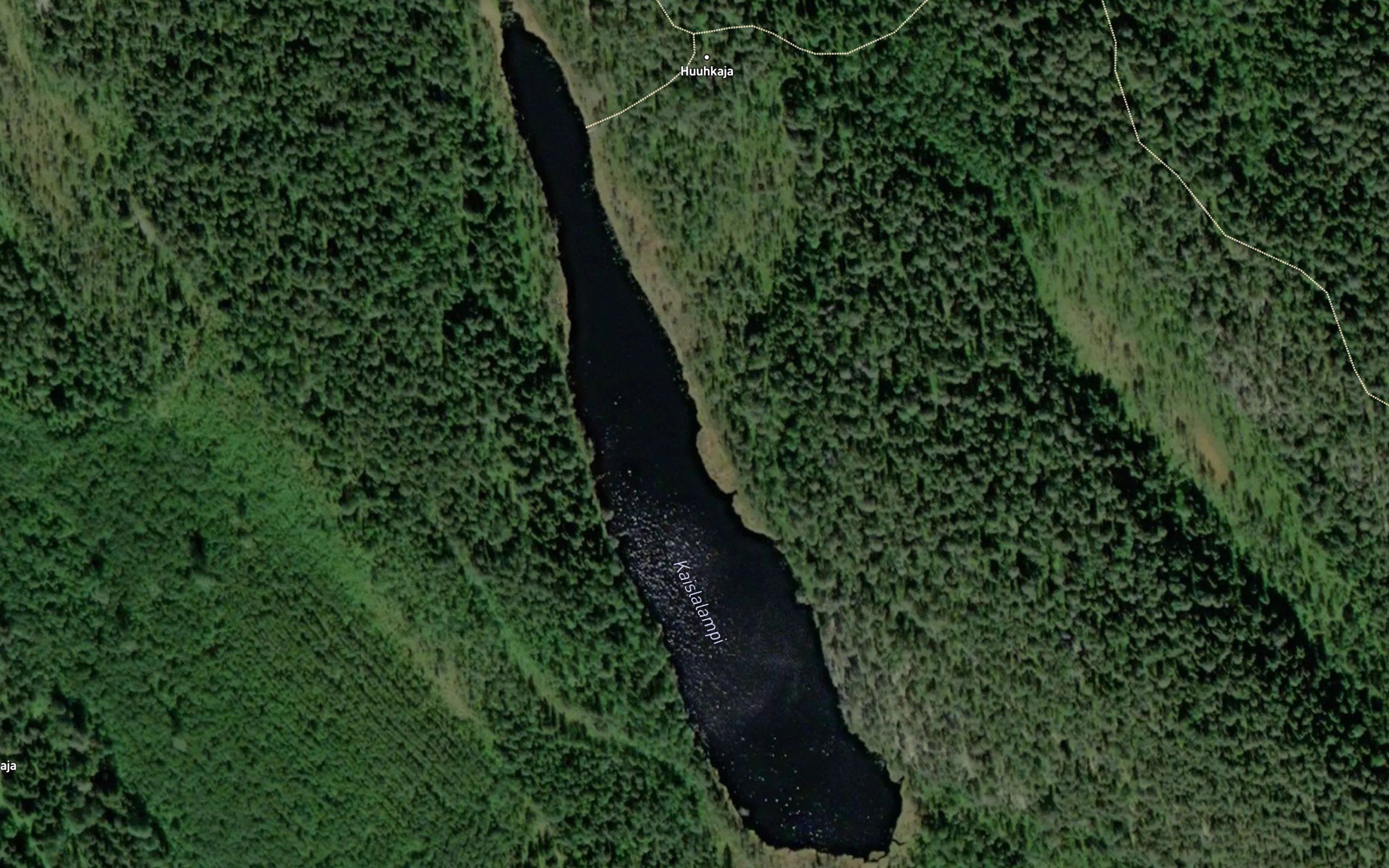 Kaislalampi