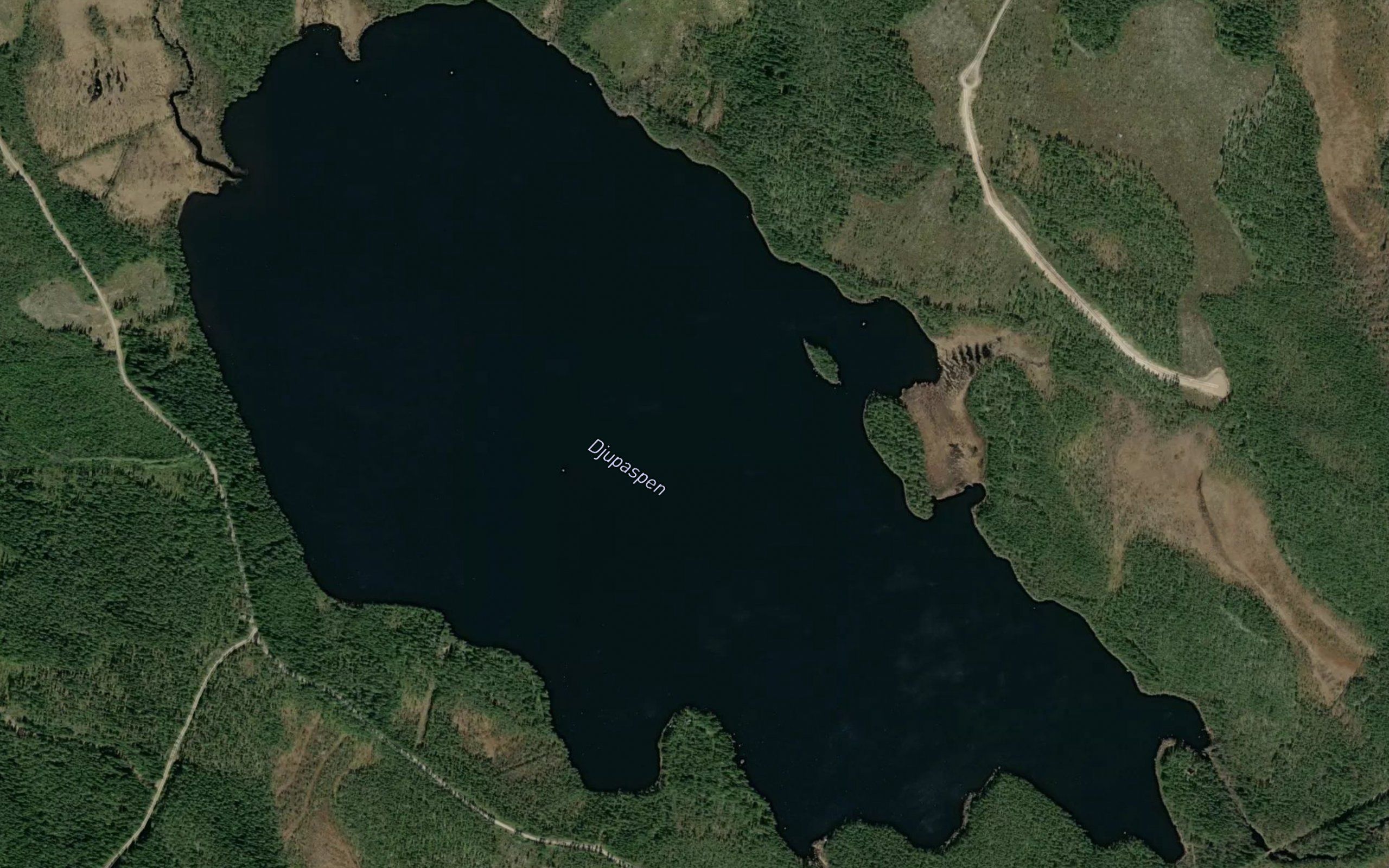 Djupaspen