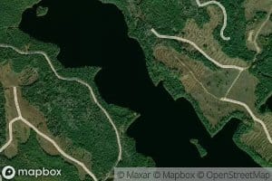 Lac Cox