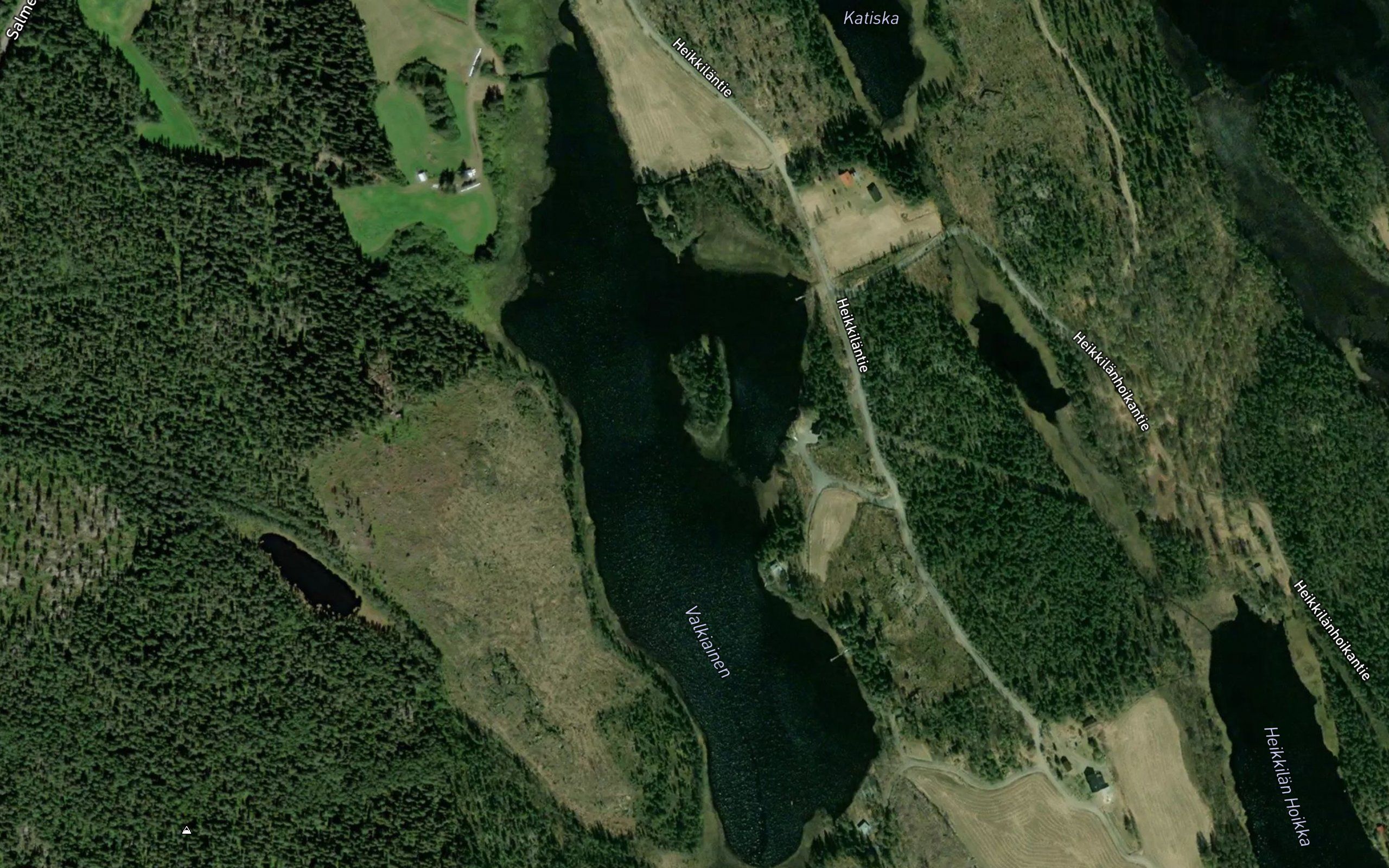 Valkiainen