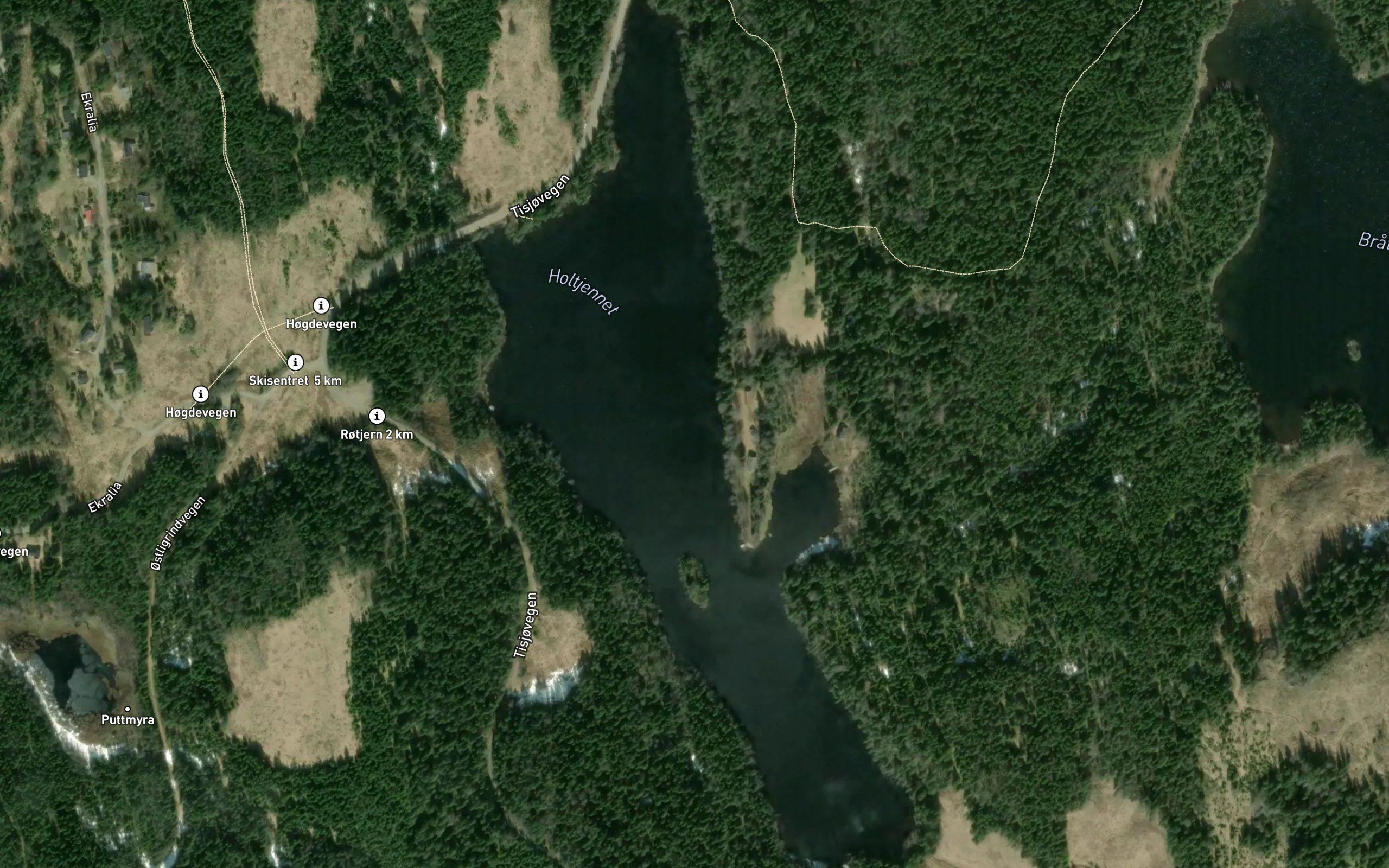 Holotjern