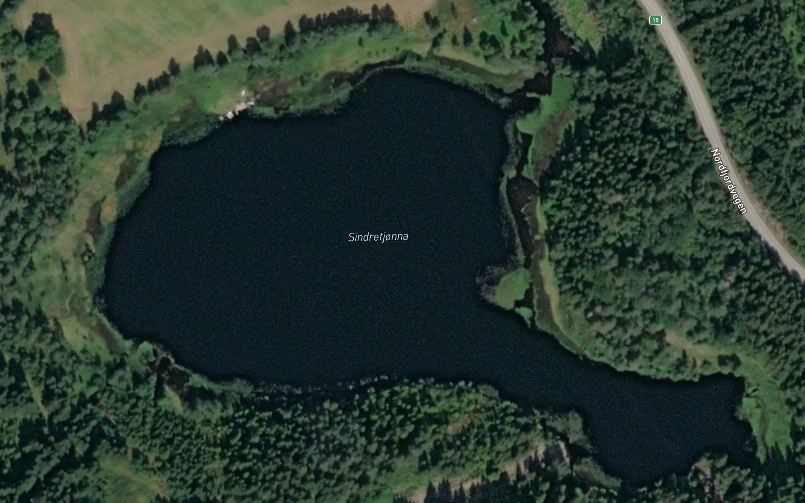 Sindretjorna