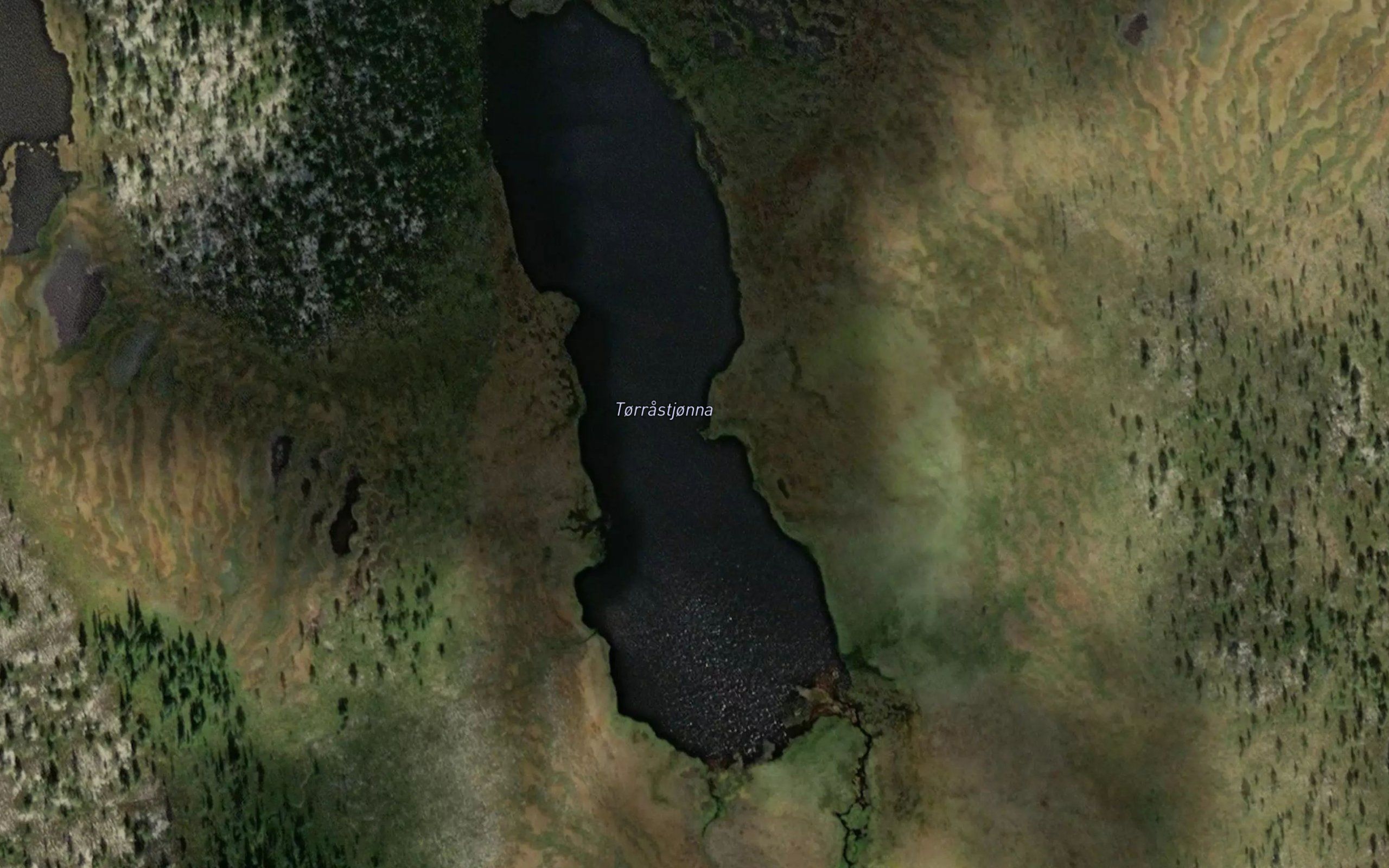 Torrastjorna