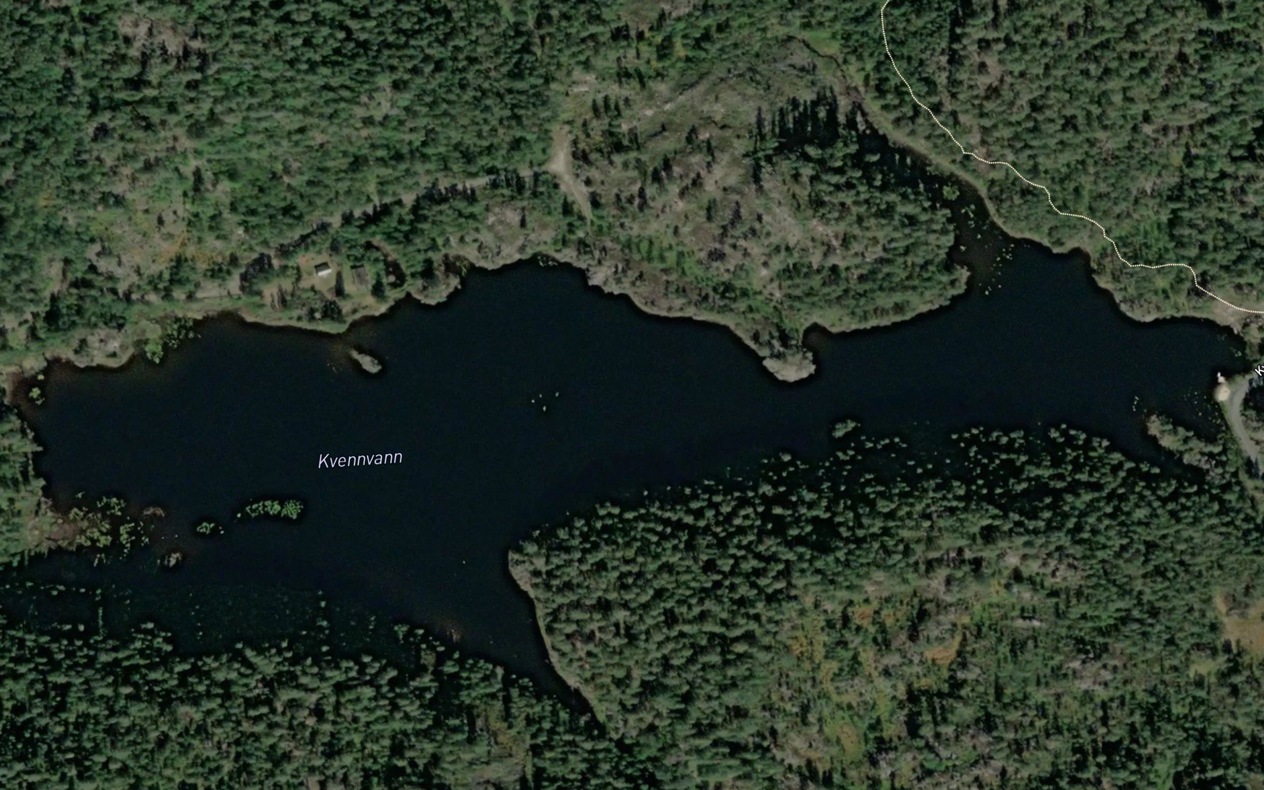 Kvernvann