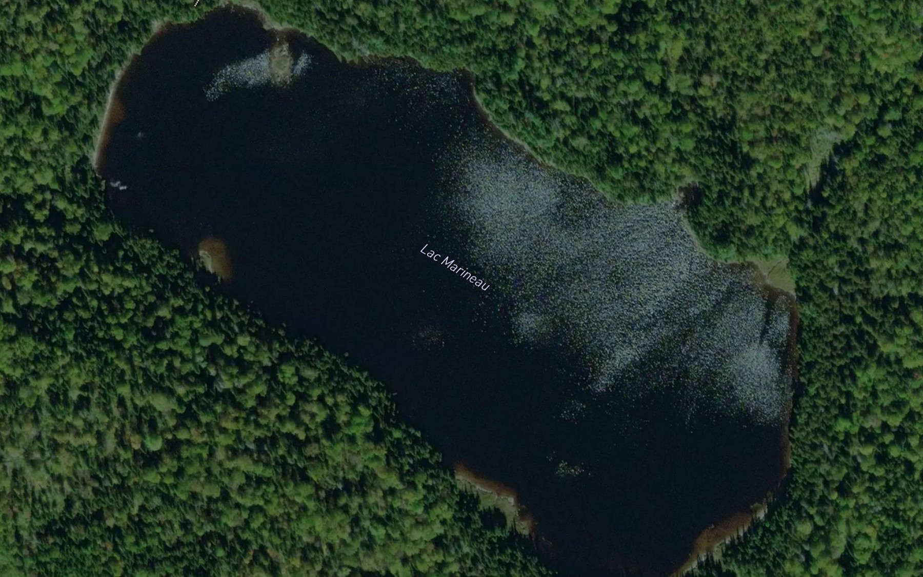 Satellite map of the Lac Marineau