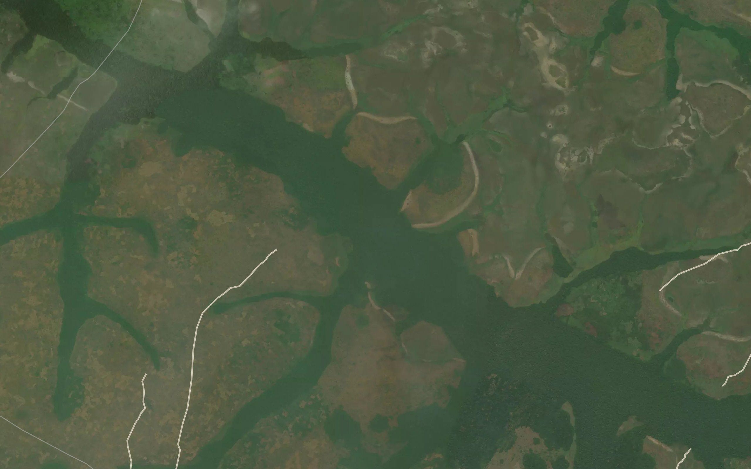 Lenkubi